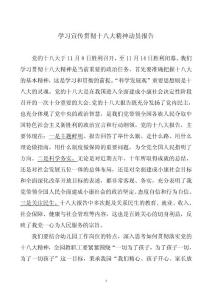 學習宣傳貫徹十八大精神動員報告 2