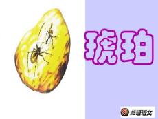 琥珀教学PPT课件人教版语文六年级下册