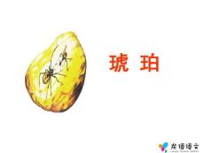 琥珀教学PPT课件人教版语文六年级下册第26课