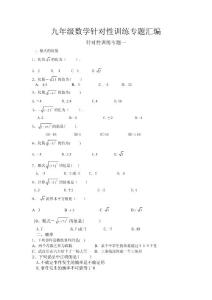 九年级数学中考针对性训练专题汇编