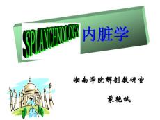 消化系統、腹膜