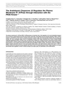 The Arabidopsis Chaperone J3 Regulates the Plasma Membrane H+-ATPase through Interaction with the PKS5 Kinase-郭岩Plantcell文章tpc.109.069609v1