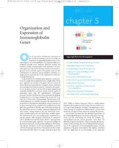 Kuby immunology Chapter 05