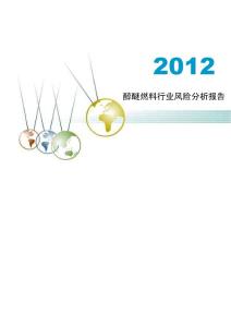 2012年醇醚燃料行业风险分析报告