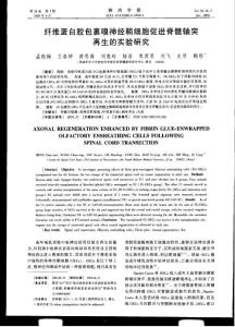 纖維蛋白膠包裹嗅神經鞘細胞促進脊髓軸突