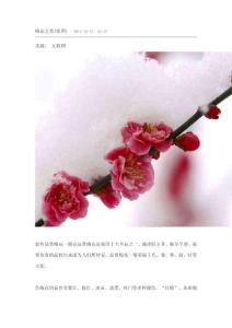 梅花之美