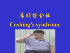 库欣综合征【精品-ppt】
