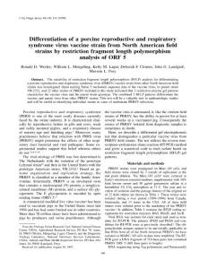 Differentiation of a porcine reproductive and respiratory syndrome virus vaccine strain from North American field strains by restriction fragment length polymorphism analysis of ORF 5