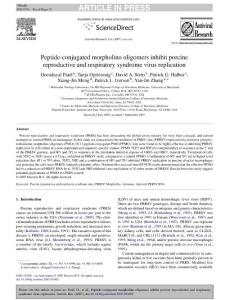 Peptide-conjugated morpholino oligomers inhibit porcine