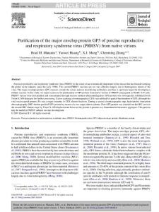 Purification of the major envelop protein GP5 of porcine reproductive