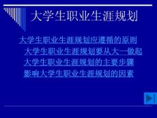 大學生職業生涯規劃