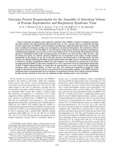 elope Protein Requirements for the Assembly of Infectious Virions of Porcine Reproductive and Respiratory Syndrome Virus