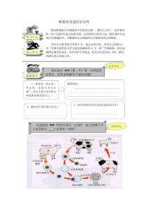 初中生物导学案模板