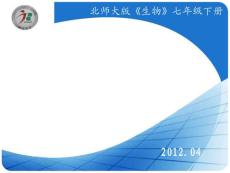 尿液的形成和排出-新2