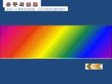 变形虫切割实验