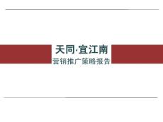 山东潍坊天同宜江南中式别墅项目营销推广策略报告_143p_销售策划方案