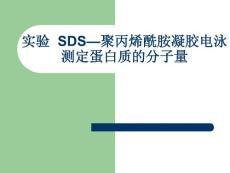 SDS—聚丙烯酰胺凝胶电泳测定蛋白质的分子量~