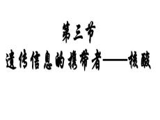 遺傳信息的攜帶者-核酸