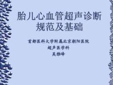 胎儿心血管超声诊断规范及基础(首都医大胎儿超声心动图培训班课件)