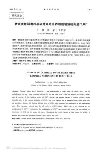 猪瘟病毒弱毒株感染对体外培养细胞增殖的促进作用