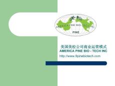 美国美松公司商业运营模式
