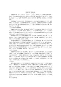 枇杷育苗技術