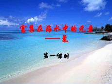 高一化学课件 富集在海水中的元素—氯(第1课时)(25P)