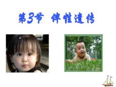 [理化生]23  伴性遺傳  6