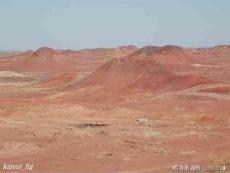 [五年級語文]白楊2