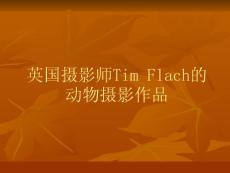 英国摄影师Tim Flach的动物摄影作品