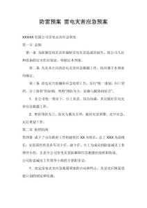 防雷電災(zāi)害應(yīng)急預(yù)案