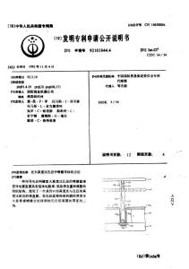 CN92101844.4-在大高宽比孔径中喷镀导体的方法