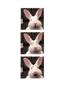 都說了不要把照片放到網上了，這下悲劇了吧……