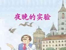 夜晚的实验教学PPT课件苏教版语文六年级下册第12课