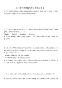 初三化学技巧性解题计算题