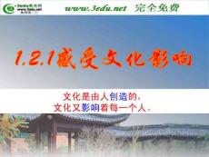 精品課件_高二政治感受文化影響4