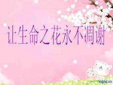 初二主题班会《_珍爱生命》