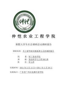 關于新華街垃圾處理方式的調研報告