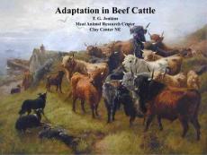 Adaptation in Beef Cattle - NBCEC