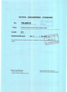 TSL 0601G【2011】（英文）