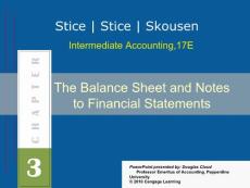 The Balance Sheet and Notes to the Financial Statements