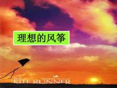 理想的风筝教学PPT课件苏教版语文六年级下册第22课
