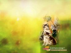 浪漫的桌面壁紙也可做ppt背景