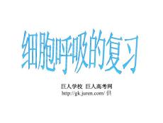 [生物] 高三生物细胞的呼吸·课件