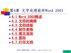 大学计算机基础第四章文字处理软件word-2003