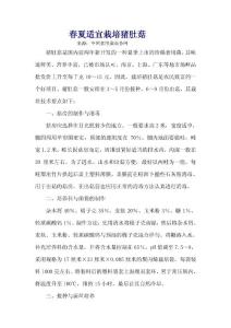 春夏适宜栽培猪肚菇
