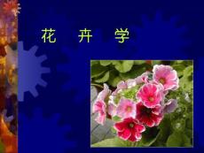 花卉学课件_中学教育-中学课件