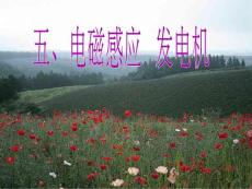 電磁感應(yīng)發(fā)電機