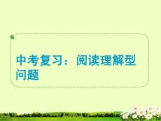 中考復(fù)習(xí)：  閱讀理解型問題