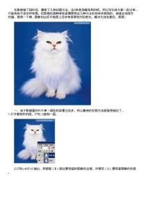 photoshop教程系列-單色背景圖ps五種扣圖方法